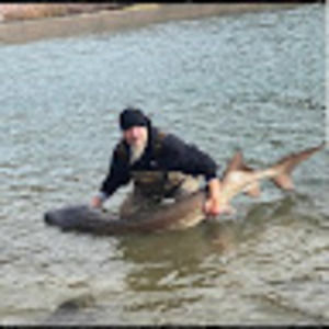 Meet your Posher, Edwin